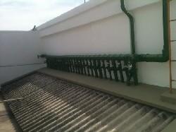 Barriletes Barriletes