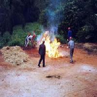 Treinamento para brigada de incêndio florestal